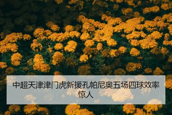 zhong-chao-tian-jin-jin-men-hu-xin-yuan-kong-pa-ni-ao-wu-chang-si-qiu-xiao-lv-jing-ren-2-668.jpg